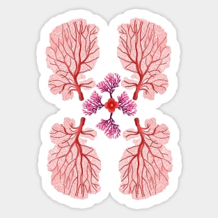 sea coral composition Sticker